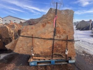 Black Hills Stand-up